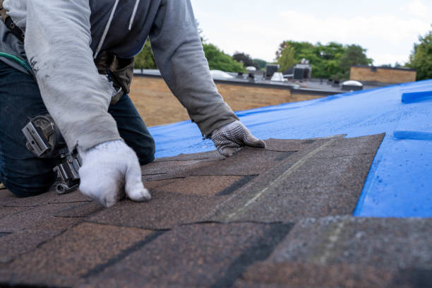 Best Roof Gutter Cleaning  in Oakley, UT