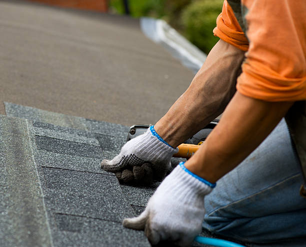 Best Storm Damage Roof Repair  in Oakley, UT
